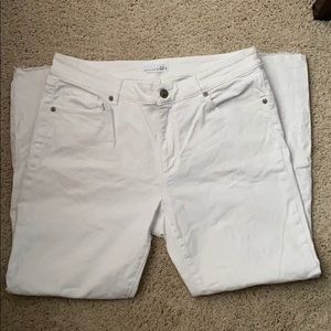 Loft Curvy Skinny Jeans